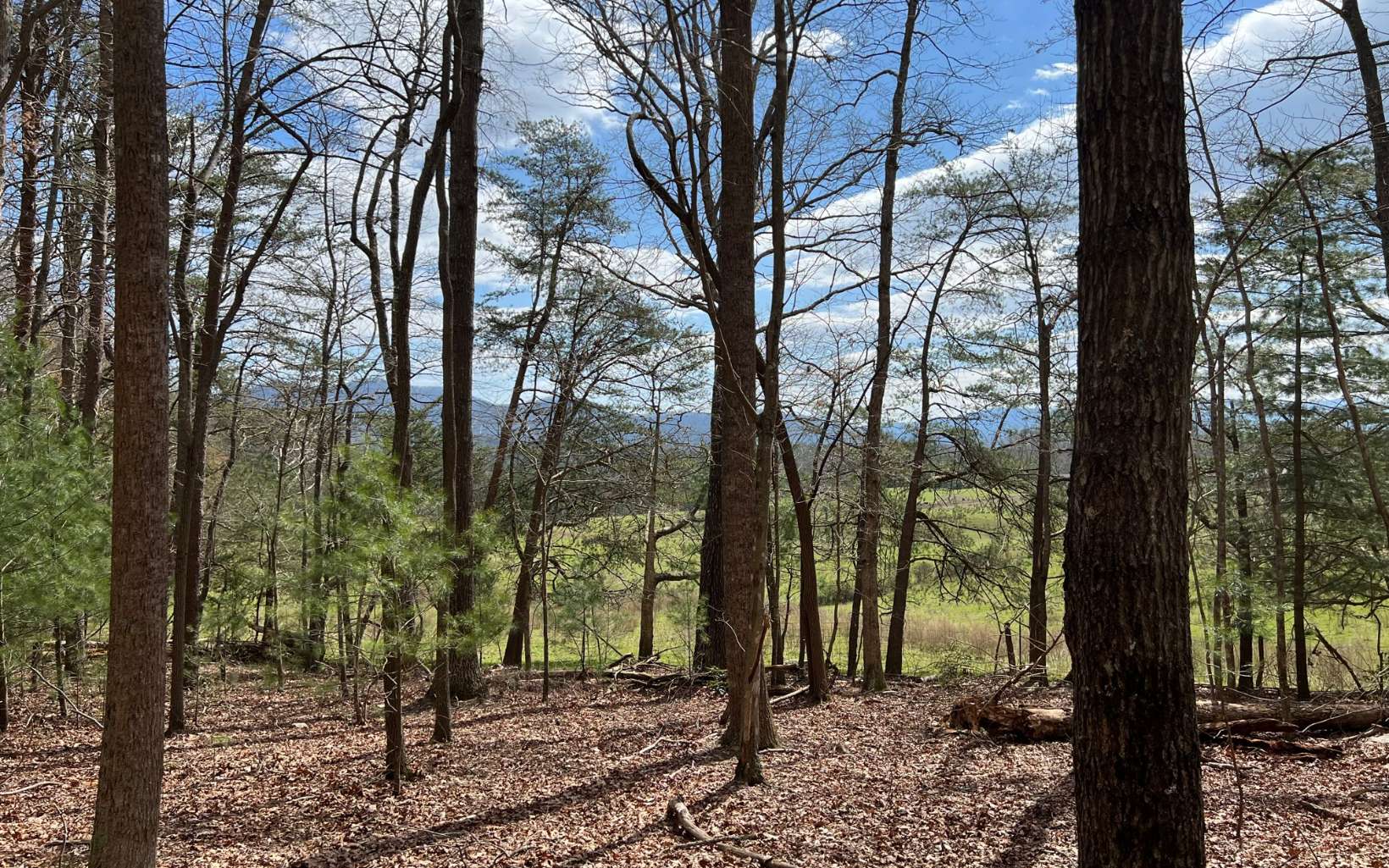 Looking to get away from it all and escape to the north Georgia mountains? Build your dream home, or a vacation home, on this beautiful 17 acre piece of land off Hwy 60 with mostly a gentle, rolling topography that will allow for long-range mountain views with the removal of some trees. The property has a mixture of vegetation with mostly hardwoods & there's a stream towards the rear. Just a few miles away is Morganton Point - a recreation area along the shores of Lake Blue Ridge with a boat launch, beach access, picnic tables and camping sites. So many natural amenities surround you offering hiking and biking trails, fishing, kayaking, canoeing, etc. And don't worry, you still have access to shopping and amazing restaurants just a short drive away in downtown Blue Ridge. This is a rare piece of property with so many possibilities!