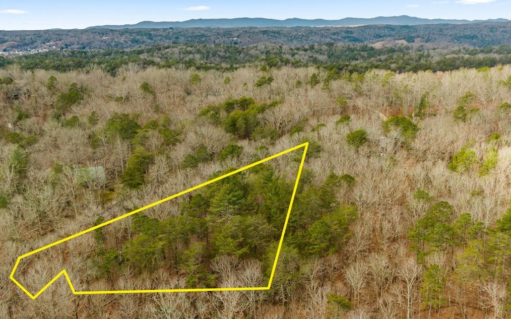 Nearly 3 acres of private wooded land is prime for your dream Mountain Home. Located in the gated community of Oakridge Mountain, this pristine location features gorgeous mountain views, winding creek, and paved road access. Enjoy the quiet country setting while still being only 15 minutes away from charming downtown Blue Ridge.