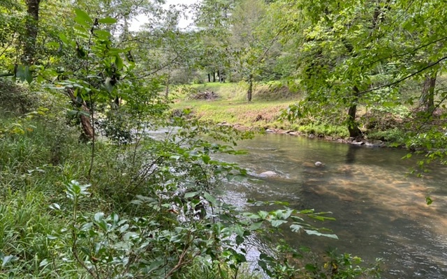 This lot is located in the upscale community of River Escape, and includes 305' of frontage on the Ellijay River. The rapid flowing waters of both Boardtown Creek and the Ellijay River converge just upstream from this property to create a perfect location for the home of your dreams where you can trout fish or relax and listen to the water music from one of the most beautiful rivers in North GA. The land along the river is level and buildable, or you can build on the hillside above the flood plain for some awesome views of the river.