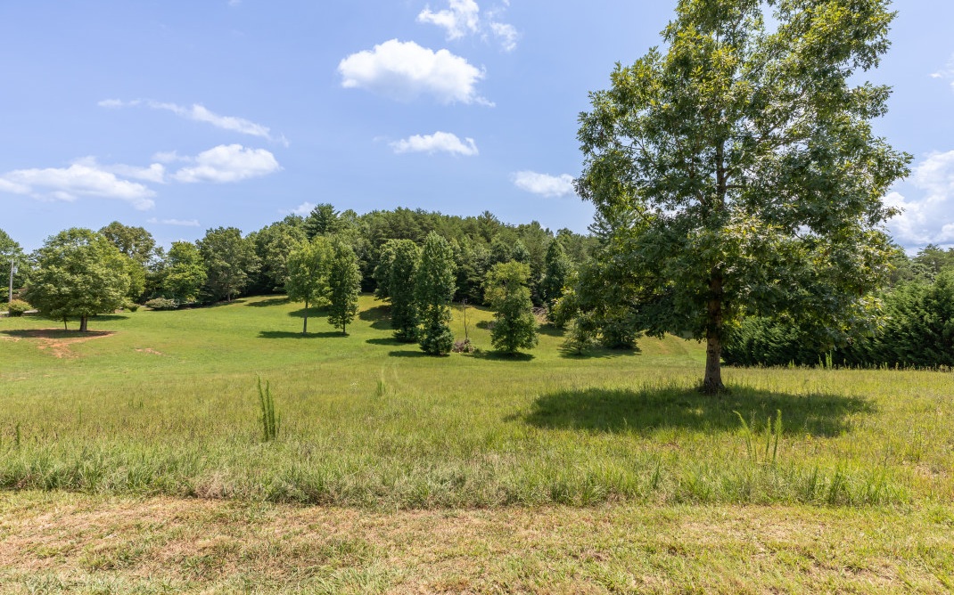 Like a scene from a Cezanne or Monet painting, this lightly-wooded, gently-sloped lot is almost too nice to disrupt with a custom-built home! Welcome to your little slice of paradise in the north Georgia mountains! This lot can be found at the end of a dead-end street and is mostly cleared and ready to serve as a backdrop for your new mountain life. Located in the established subdivision of Emelia Estates, the community offers underground utilities, paved roads, deeded community access to a private lake with dock, and sensible covenants & restrictions that are not too restrictive, yet will maintain the value of your investment. The lot is located 10 minutes northeast of downtown Morganton and 16 minutes East of Mineral Bluff. Stay at home or venture out to one of the many quaint nearby towns for great food, shopping, and sightseeing.