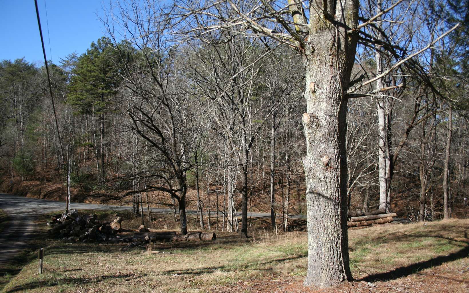 INVESTORS TAKE A LOOK! Gorgeous rushing creek front property. Could be subdivided for two stunning YEAR ROUND MOUNTAIN VIEW LOTS. There is a septic/ well on the property and all utilities in place. Bring your builder and your plans. Under 10 minutes to Downtown Blue Ridge. County water across the road and fire hydrant.