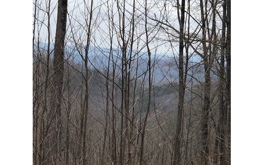 This beautiful home site is located in the upscale, private community of Falling Waters. Gorgeous mountain views! You will love the many nature/hiking trails, as well as access to the lake, paved roads, gated entrance and underground utilities. Convenient location for a weekend getaway from Atlanta. Close to Jasper and Ellijay for full time North Georgia Mountain Living.