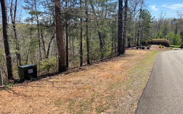 Priced to sell! One of the best laying lots in the entire development! One of Gilmer County's most sought after communities! Many hardwoods and gentle terrain make this 1 acre lot perfect to build your dream home. Walk to the common area pavilion and Harris Creek! Architectural Review Committee is in place to assure upscale homes are built. This home site is minutes from the Doll Mountain recreation area w/boat ramp, camping, picnicking area & fishing. Carters Lake is the deepest of Georgia's reservoir lakes known for it's peaceful solitude and scenic beauty. The Tranquility community offers landscaped grounds, walking trail along Harris Branch Creek, playground and a neighborhood pavillion. Gated and paved roads.