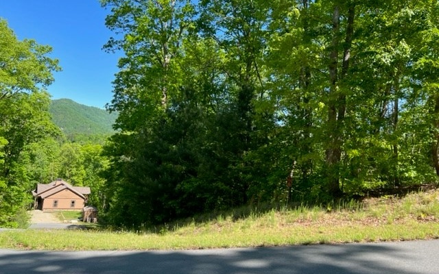 Beautiful building lot in great subdivision with spectacular year round views, paved roads and underground utilities. Public water hook-up is available to this lot. Great location, close to Lake Chatuge, Hiawassee and USFS access from within the Wolfpen Gap community.