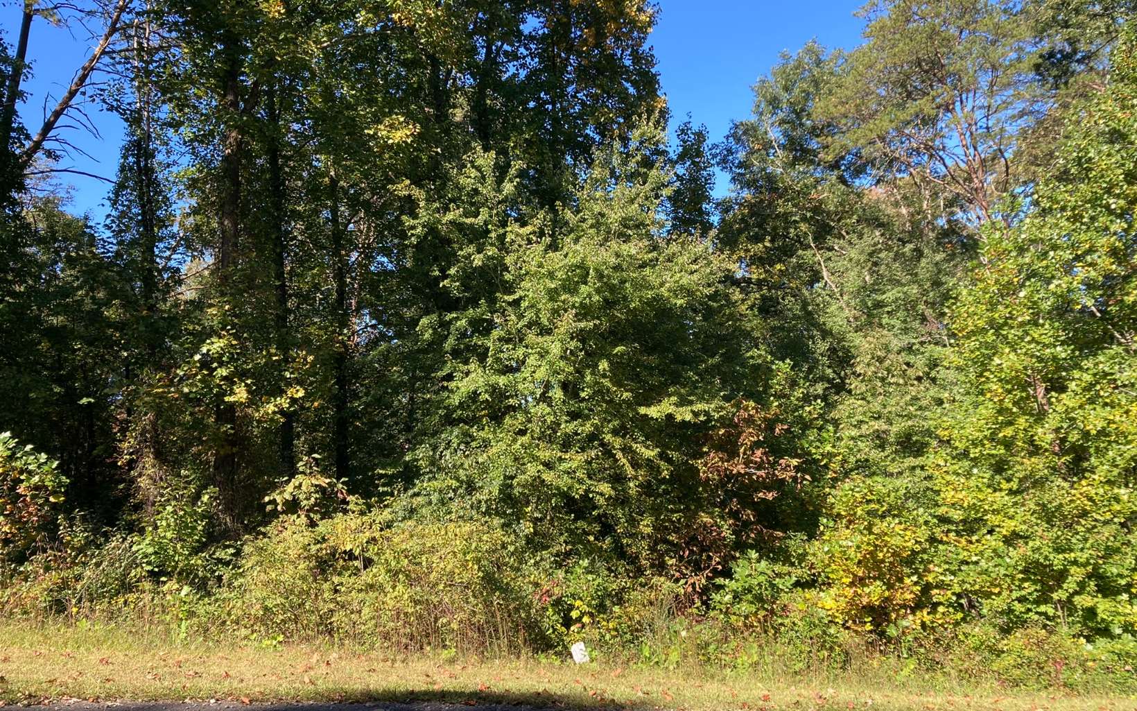 LOVELY Lot in private upscale community overlooking Kyle Branch stream. All underground utilities, including public water, and paved roads make for easy construction and great living. Lot is within minutes of both Blue Ridge and McCaysville…less than 2 minutes to Fannin Regional Hospital. Sensible covenants and restrictions make this a great community to build in