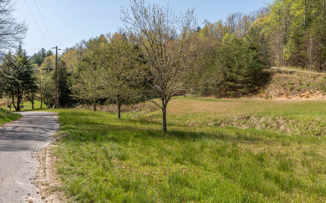 This 1.49-acre slice of heaven with mountain views is surrounded by a paved, dead-end road on 3 sides and includes a small stream/creek running through the property. Lightly wooded with hardwood trees, this peaceful lot is waiting to live its best life as the backdrop for your custom-built home. Imagine waking up to the fresh mountain air and the sound of birds chirping—all miles away from city life. If you’re looking for your dream lot, this is it!