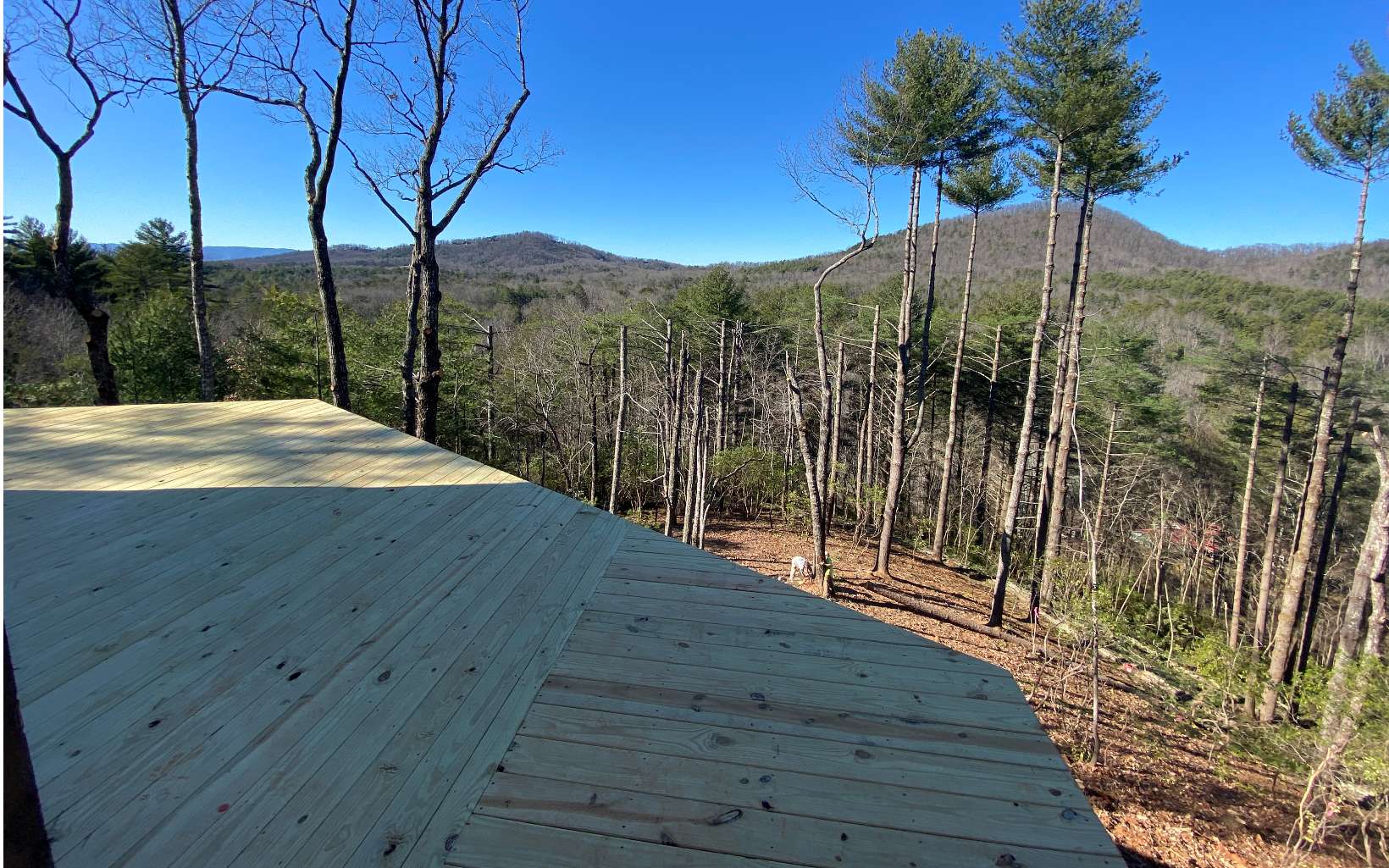 Spectacular "Long Range" Mtn. Views from Strawberry Ridge. "Vista Pruning" in process but it's already Awe-Inspiring. Prow-Front Cabin w GLASS WALLS opening up the Spacious Great Room. Wrap Around Porches & deck...Wood-Burning Fireplace on the Party Porch. Huge Great Rm w/Stone Fireplace & Kitchen Raised Counter bar (Ample Dining Area). Stained Trim, Ceramic Tile Bathrooms & ALL Wood Interior. Terrace Level Bonus "Family" Room w/Wetbar. A Bedroom & Full Bath on Each Level with Plenty of Storage. Only 3 residences in this Small Subdivision of Strawberry Ridge with a Shared Well & Shared Driveway. Only 2/10 mi from Hardscrabble (Paved County Rd). Quick access to NC & TN (white water rafting, Casino, etc). No Restriction against Short Term Rental.