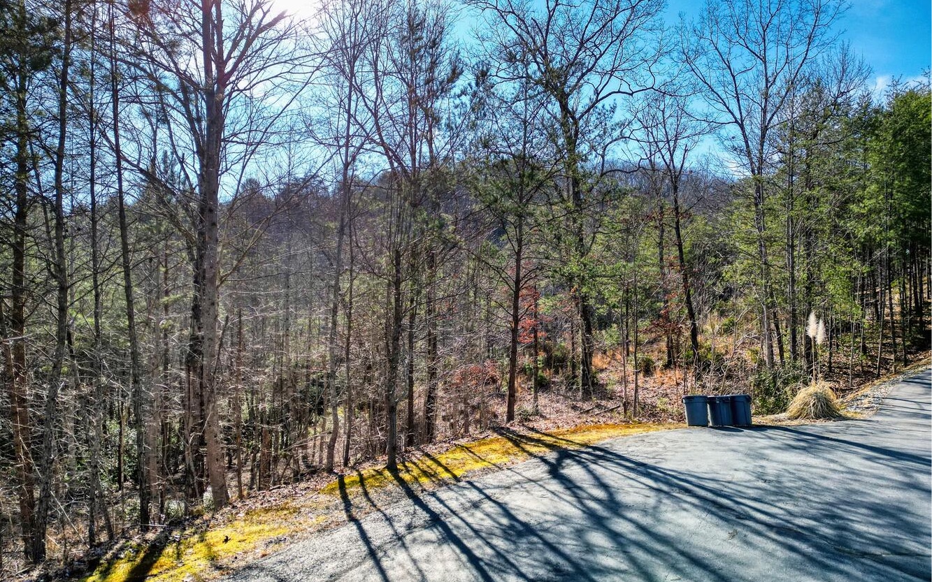 Build your Forever Home, Home away from Home, or Rent it out. This private lot with Mountain Views is ready for you. Located in Double Springs gated and private community conveniently located close to Young Harris College and less than 15 min to Blairsville. Paved roads, easy access, public water, underground utilities, and RV friendly restrictions.