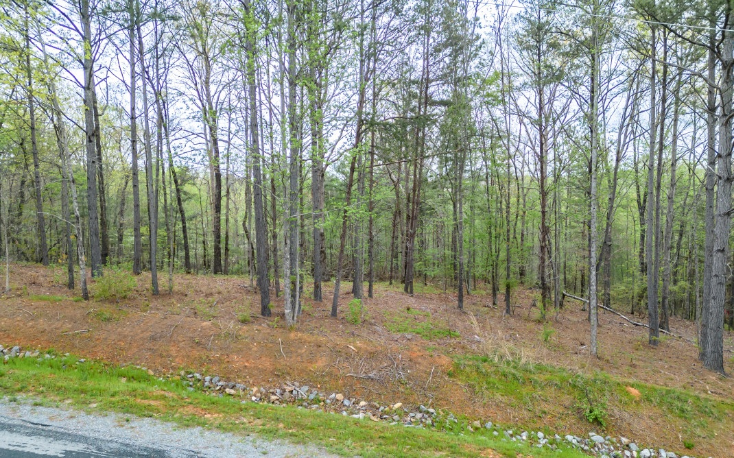 Perched along a winding road just minutes south of Carters Lake sits your new homesite in the Creekside Crossings community. Residents here enjoy a variety of amenities including close proximity to Talking Rock Creek, UTV-friendly trails, community waterfront parks and pavilions, well-sized, private lots starting at 3 acres, a gated entrance, and hard-surface roads. The property is dotted with young hardwood trees and offers seasonal mountain views but could be year round mountain views with proper clearing. A private well will need to be installed however electric has been run to the lot. Come and enjoy mountain living here in Talking Rock!