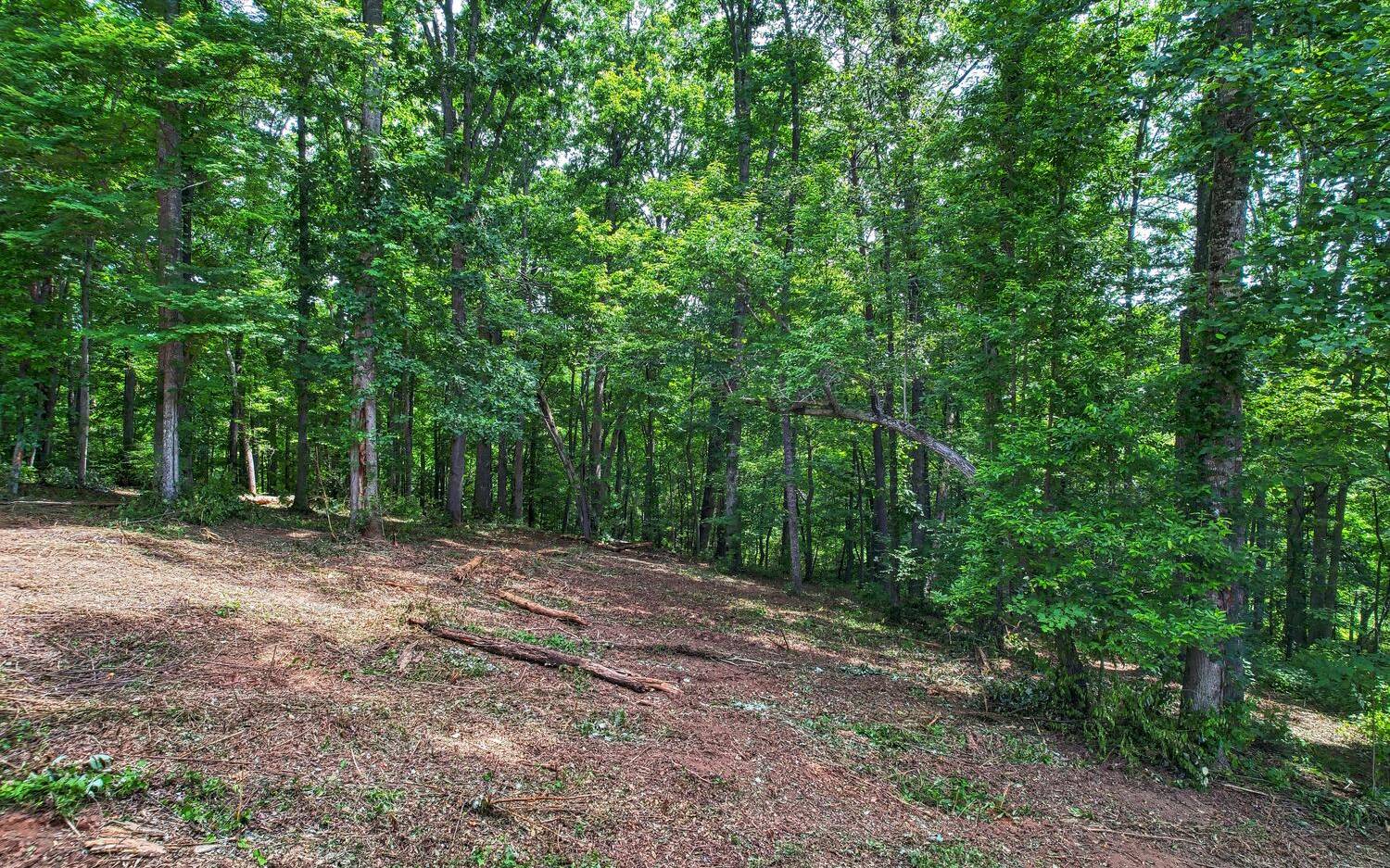 Nestled in the valleys of Towns County is this incredible subdivision "The Preserve! This extremely gentle lot is ready for you to build your "forever home"! At the bottom of this gorgeous lot there is a babbling stream, Close to trout-stocked Crooked Creek, Young Harris College, and many hiking/camping opportunities. Come live in this quiet community of fine homes and enjoy what the mountains have to offer!
