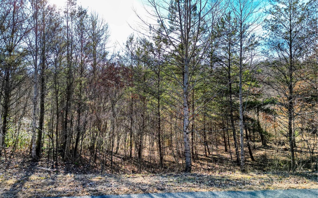 Build your Forever Home, Home away from Home, or Rent it out. This gorgeous lot is a dream. Level, gentle, just enough trees for privacy but as big of a view as you want this lot backs up to a stream at the back of the property. Located in Double Springs gated subdivision with well kept homes. Less than 15 min from Blairsville and convenient to Young Harris College and Crane Creek Vineyards. Paved roads, easy access, public water, underground utilities and RV friendly restrictions.