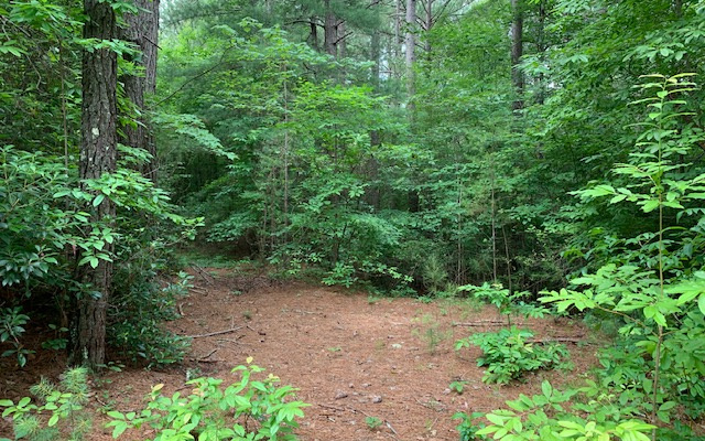 ROOM TO SPREAD OUT IN THE NORTH GEORGIA MOUNTAINS ! Two lots, lots 10 and 15, combined to be 2.16 acres in well established paved neighborhood PLUS end of the road privacy. This tract of land is centrally located between Blairsville, Murphy and Blue Ridge in the majestic north Georgia mountains.