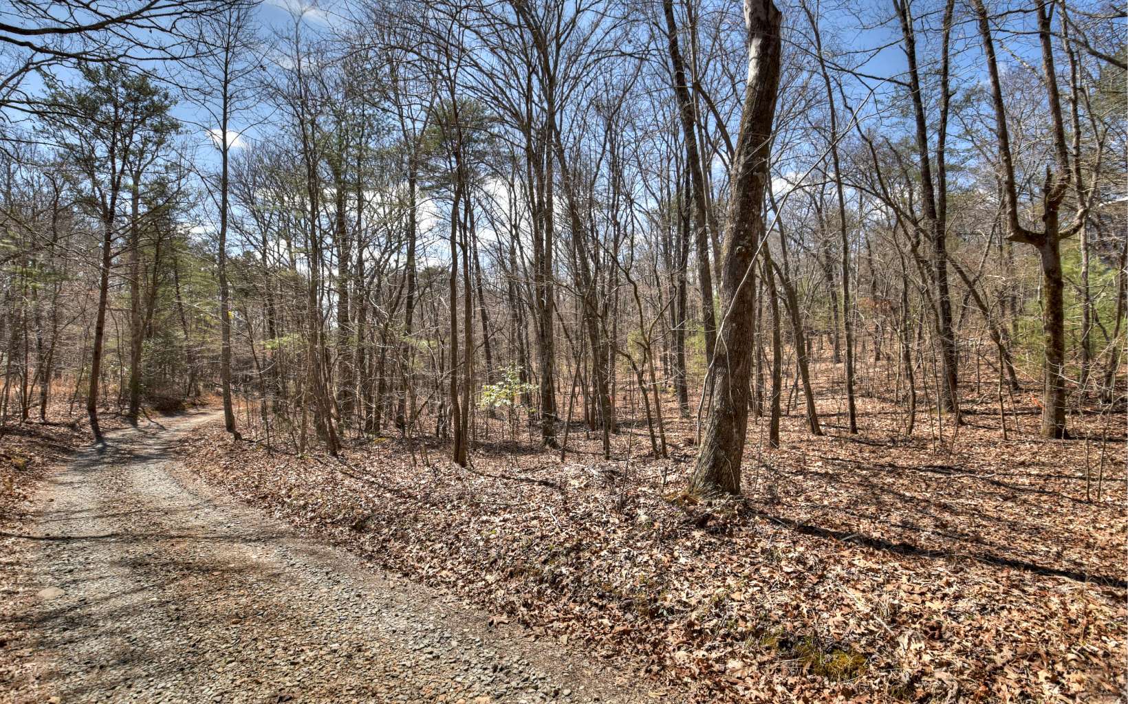 ACREAGE with Several Building Sites. This beautiful property offers numerous possibilities!!! Build a private estate on 11 acres or Subdivide and build at least 3 Cabins. It's proximity to Blue Ridge and McCaysville is perfect along with it's easy access with 2 separate entrances.