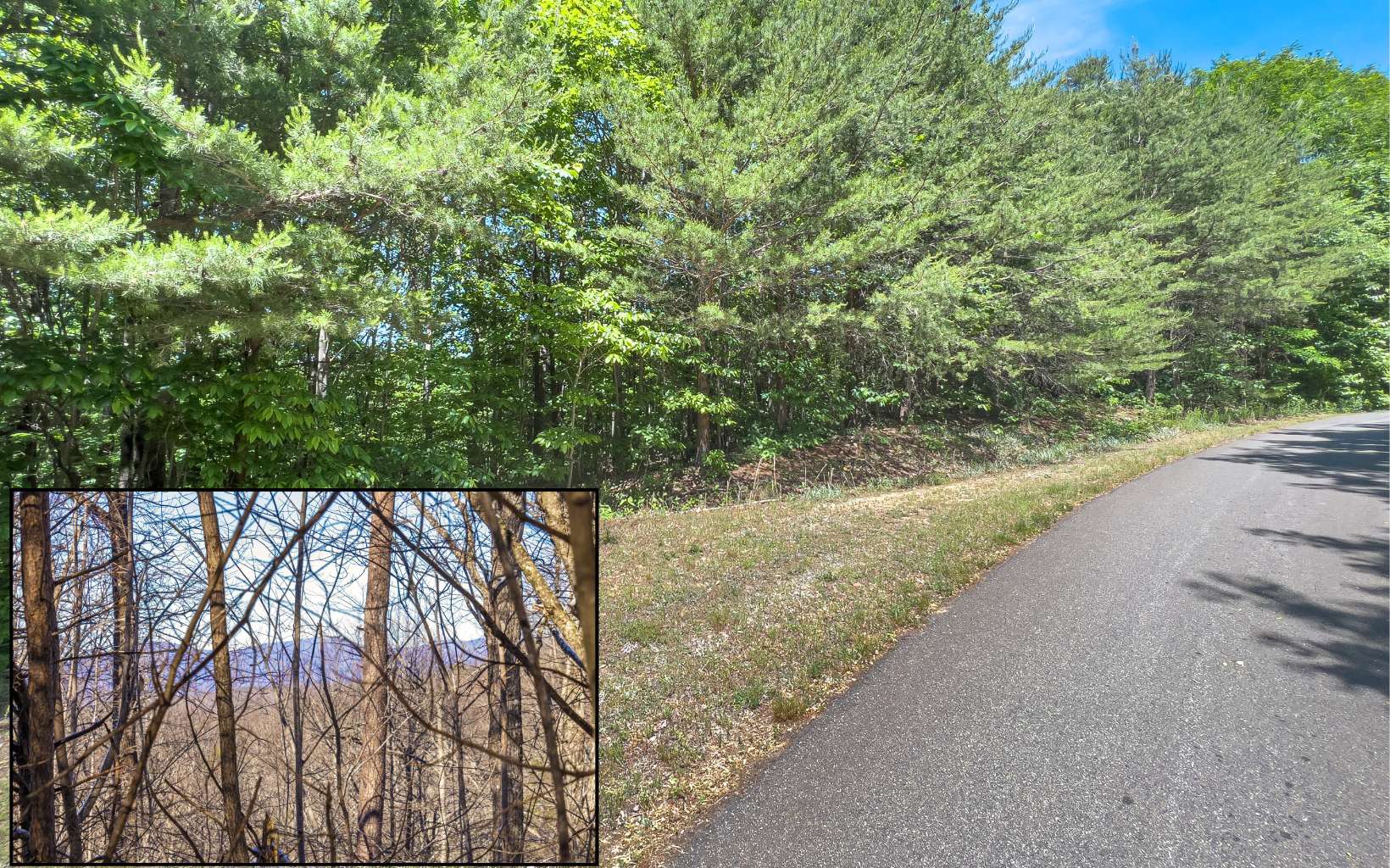 This 4.03AC lot is located in Georgian Highlands, an exclusive gated community known for generous size lots and higher-end homes (note: it does not allow short-term rentals). Located about 25 minutes from Ellijay with all-paved road access and underground utilities, this lot has gentle wooded terrain with many potential build sites. Georgian Highlands is several thousand acres and 80% of the land has been set aside as unspoiled green space teeming with wildlife. The HOA will even assist you as necessary on the best home site and how to preserve the natural environment as much as possible during building and clearing. Don't delay - a lot in Georgian Highlands will not last long.