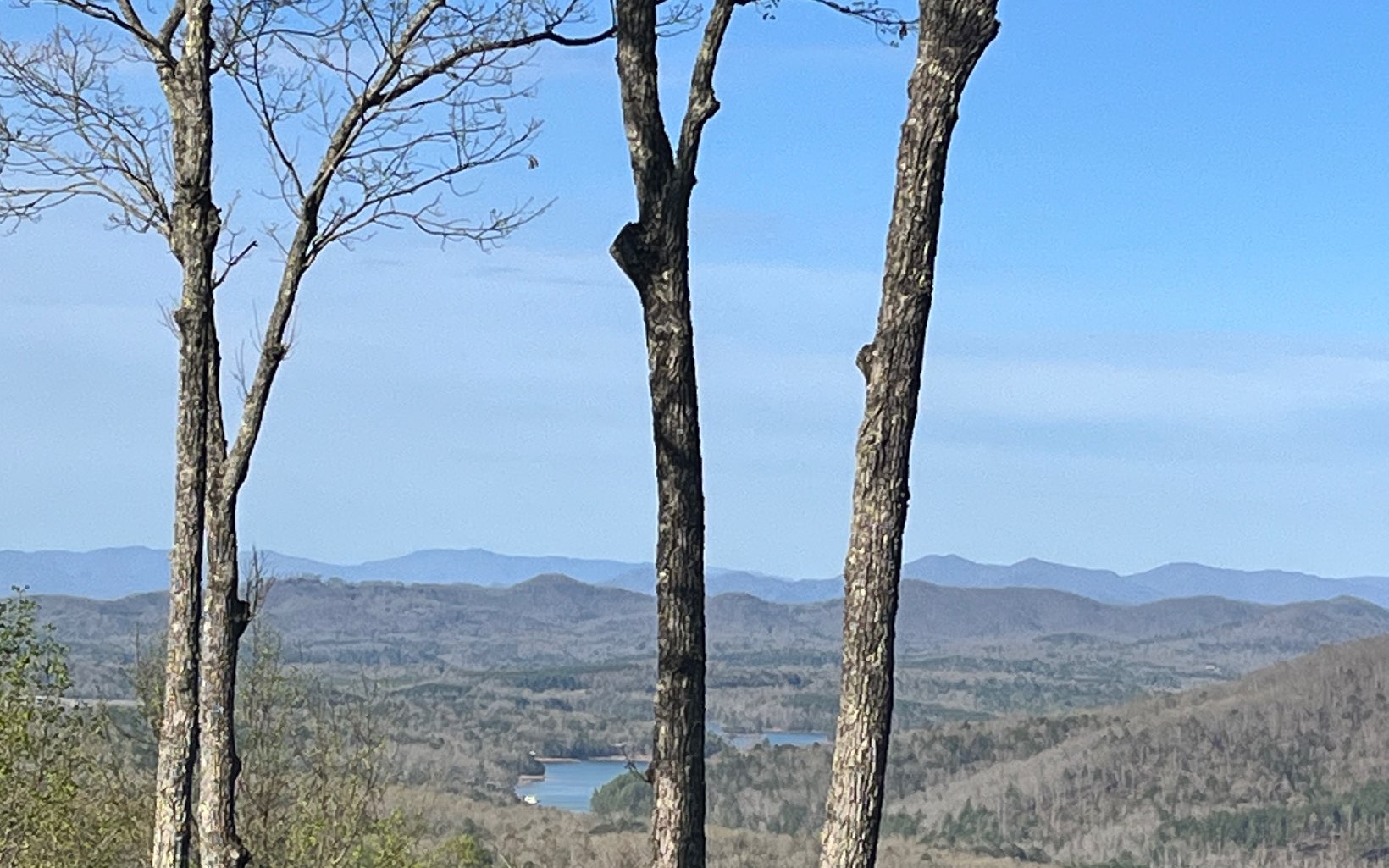 Check out this mountain top lot with potential amazing views of LAKE NOTTELY and surrounding NORTH GEORGIA MOUNTAINS in the beautiful community of Laurel Brooke. Come build your dream home and enjoy the peace and quiet of the mountains.