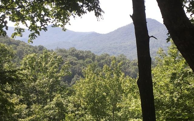JUST REDUCED!!! Great Building lot just waiting for you to put your Mountain cabin on! Just minutes to town, shopping, restaurants, Lake Chatuge, & Brasstown Bald. Clear some trees for a great view of Brasstown Bald. Great price for this mountain lot!!!!