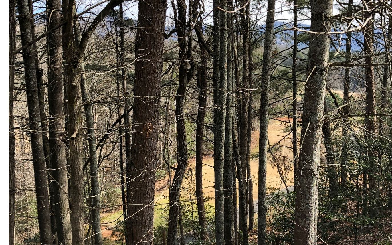 This beautiful lot offers great views of the golf course and the mountains! Enjoy a peaceful evening by Whitepath Lake or take a relaxing walk by the Ellijay River at the community park! Build your dream home in this serene desirable neighborhood!