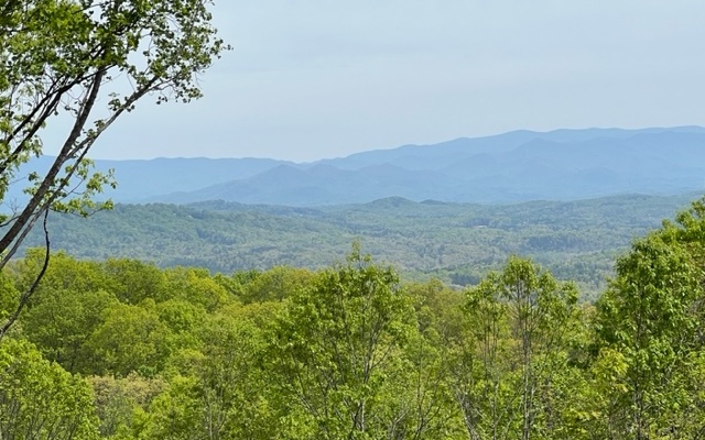 AMAZING YEAR ROUND LONG RANGE MOUNTAIN VIEWS! Two lots combined with almost 6 acres offers plenty of privacy! View trimmed and house site cleared, ready for your dream home! Heavily wooded with beautiful hardwoods boasting a nice building site with super easy access via a paved road in a high end community. Fantastic location within minutes of Blue Ridge or Blairsville. Close proximity to Lake Nottely, hiking/mountain biking trails, and USFS.