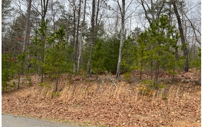 This beautiful building lot backs up to USFS land and is in established, gated community with reasonable HOA dues. Conveniently located between Blue Ridge and Blairsville, this is a great place for your mountain home. Neighborhood has a nice mix of Craftsman and Cabin style homes with beautiful views. Be sure to see this one!
