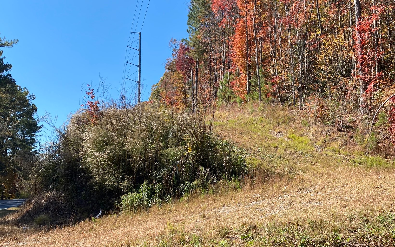 13.28 Acres Located on State Highway. Beautiful Gentle Acreage that features Paved Highway Frontage, Electric To Property Line, Large Hardwoods and Two Access Roads in place. Only Minutes To Downtown Ellijay, Shopping and Restaurants.