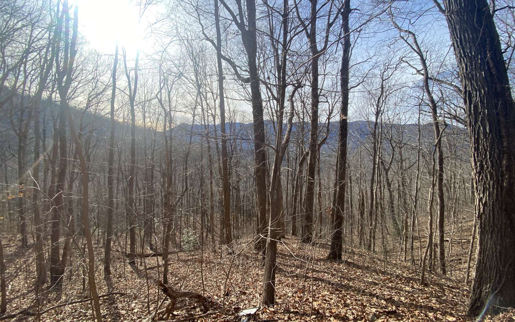 Big Mountain Views from this UNRESTRICTED 5.27 acres. Enjoy panoramic views facing Brasstown Bald. Private location not too far from town. Electric available. Soil test completed.