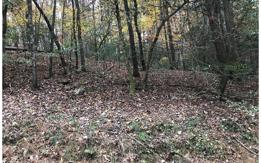 Really nice private lot in sought after Buckhorn community. Ellijay's only golf course community. All Paved roads and easy drive only 10 min to Ellijay and about 15 min to Blue Ridge. Bring your builder and build that dream mountain home. Lake and river access. Very reasonable HOA Fees as well.