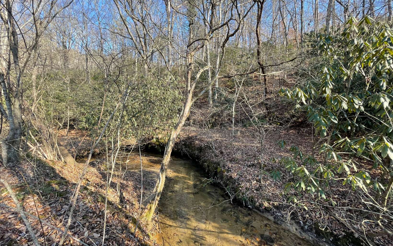31.53 unrestricted acres in Mineral Bluff Georgia just outside of Blue Ridge. Creek runs thru property. Bottom land for garden or mini farm. Ridge line with mountain and pasture view.