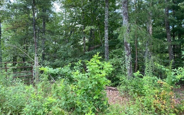 AFFORDABLE AND ACCESSIBLE.. Come see this beautiful wooded 7.67 acre lot! Beautiful view and branch frontage. Enjoy the beauty of the North Georgia mountains in an established cabin community, Whippoorwill Walk. Easy access, underground utilities, shared well with public water being installed in the development. Less than 10 miles to downtown Blue Ridge. See it and build your dream cabin here.