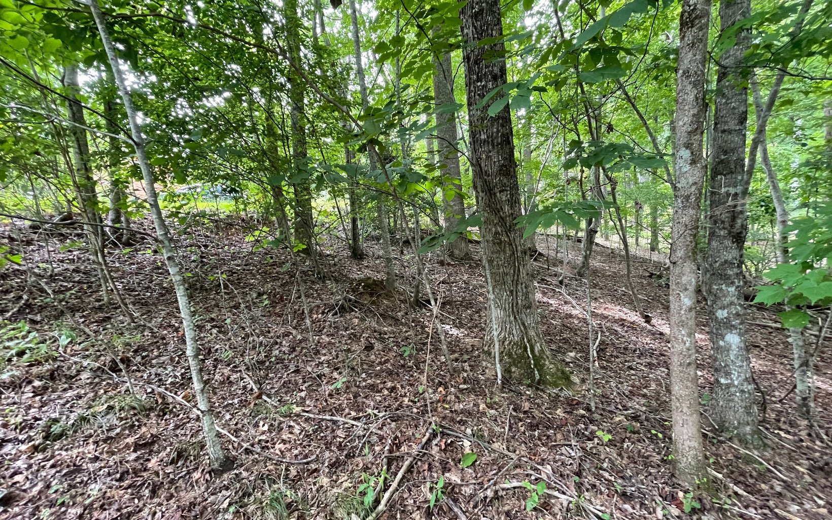 Located in a quiet well-established neighborhood, this lot offers year-round mountain views and a gentle build site with septic approval for a 2 or 3-bedroom home. Paved roads and underground utilities in place and ready for build. Close to Young Harris College, shopping and dining.