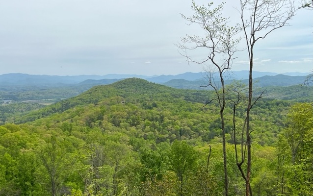 AMAZING YEAR ROUND LONG RANGE PANORAMIC MOUNTAIN VIEWS! 3.06 acres offers plenty of privacy! View trimmed and house site partially cleared, ready for your dream home! Heavily wooded with beautiful hardwoods boasting a nice building site with super easy access via a paved road in a high end community. Fantastic location within minutes of Blue Ridge or Blairsville. Close proximity to Lake Nottely, hiking/mountain biking trails, and USFS.