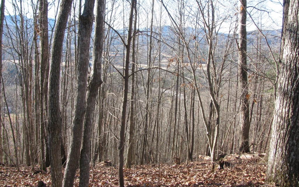 **Outstanding mountain view and Young Harris view with some tree clearing on this view lot on the ridge line. **Located close to the Hiawassee/Young Harris entertainment district with theater, restaurants, Memory Lane car museum, The Ridges Marina and Hotel**Close to Chatuge Shores and Brasstown Valley golf courses**Centrally located close to Hiawassee, Young Harris and Hayesville NC**Buy now, build now or build later, view lots that are flat on top are very difficult to find at this time in our beautiful mountain valley**