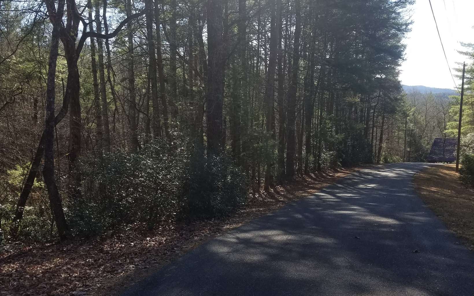 GOLF COURSE COMMUNITY LOT!! Golf Course access and Ellijay River access. Desirable quite community w/paved roads. Located between Blue Ridge and Ellijay for easy access to everything from dining to recreational!!!