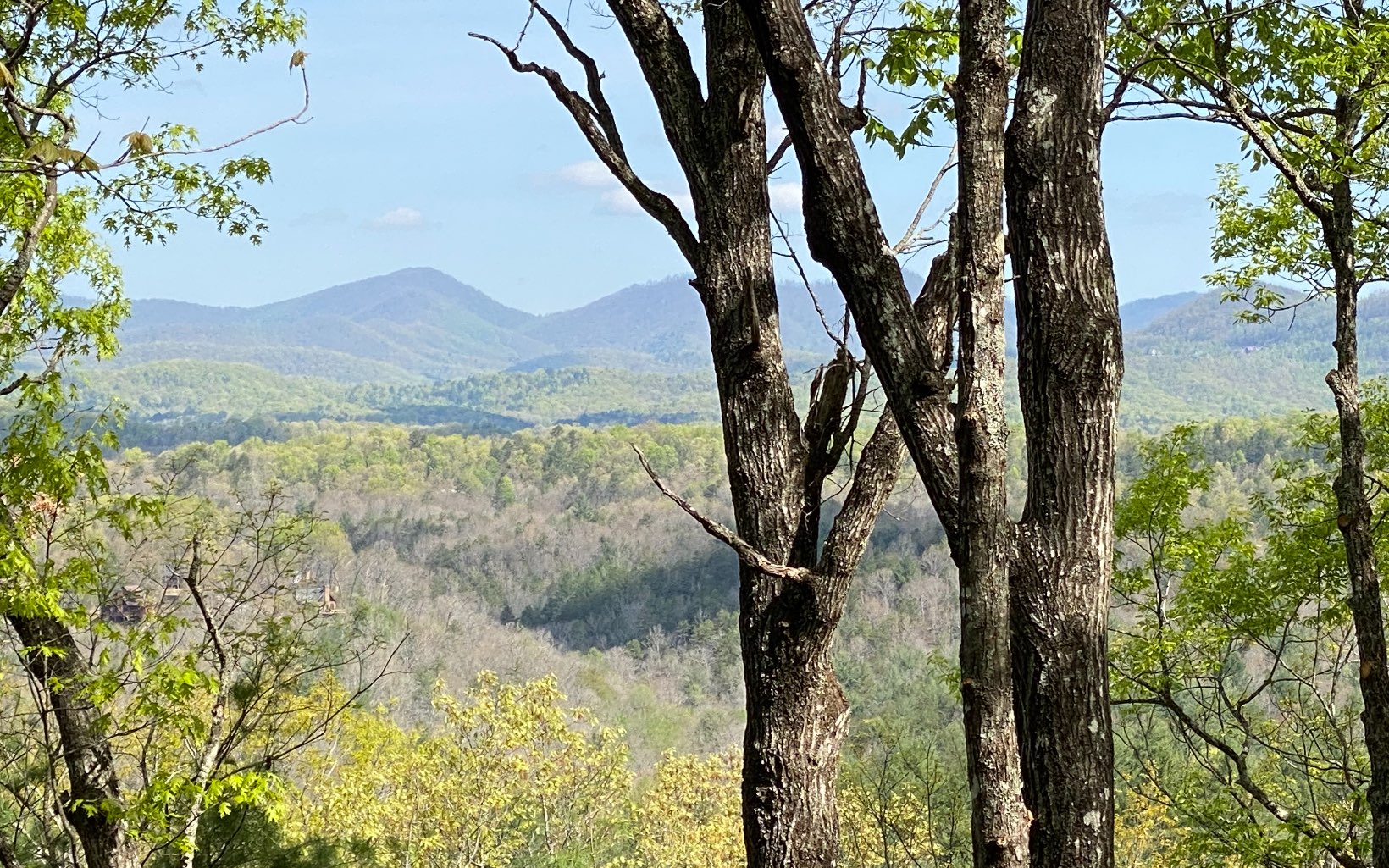 Spectacular year round views from this 2.95 acre lot! Welcome to Raven Ridge. This mountain community is nestled in the heart of the Appalachian Mountains w/ easy access to Blue Ridge, Blairsville and Murphy. Upscale cabins already built in this growing development. Underground utilities & community water available.