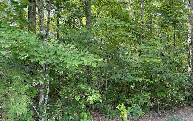 AFFORDABLE AND ACCESSIBLE.. Come see this beautiful wooded 1.4 acre lot! Enjoy the beauty of the North Georgia mountains in an established cabin community, Whippoorwill Walk. Easy access, underground utilities, shared well with public water being installed in the development. Less than 10 miles to downtown Blue Ridge. See it and build your dream cabin here.