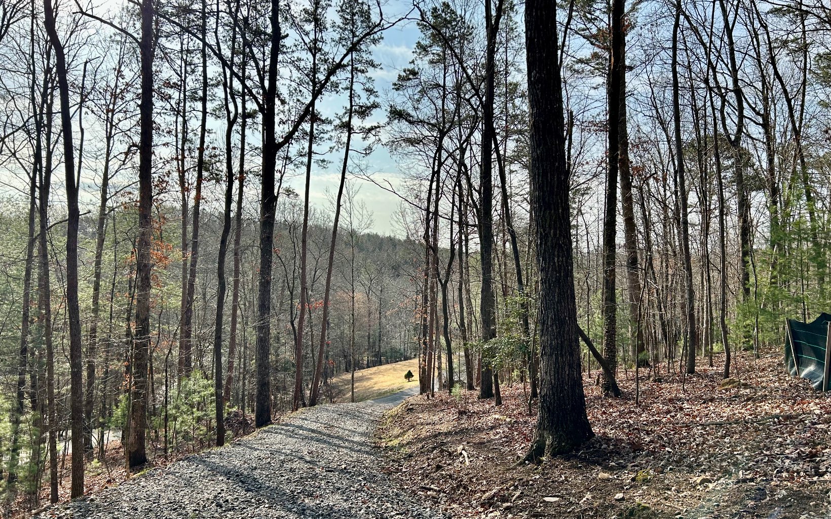 Looking To Build Your Forever Home?? - This 1.99 Acre Lot in Beautiful Quin Springs Subdivision in Ellijay, Georgia has so much to offer. Features include Seasonal Mountain View, Branch with Quin Springs on corner of lot, Driveway In Place, Lots of Hardwoods and Mountain Laurel, Located on Paved Road, Underground Utilities (Power, Phone, Cable, Internet) to Property Line and Less than 5 Miles to Downtown Ellijay for Restaurants and Shopping. No Short Term Rentals Allowed. Recommended Local Builders List Available Upon Binding Contract.