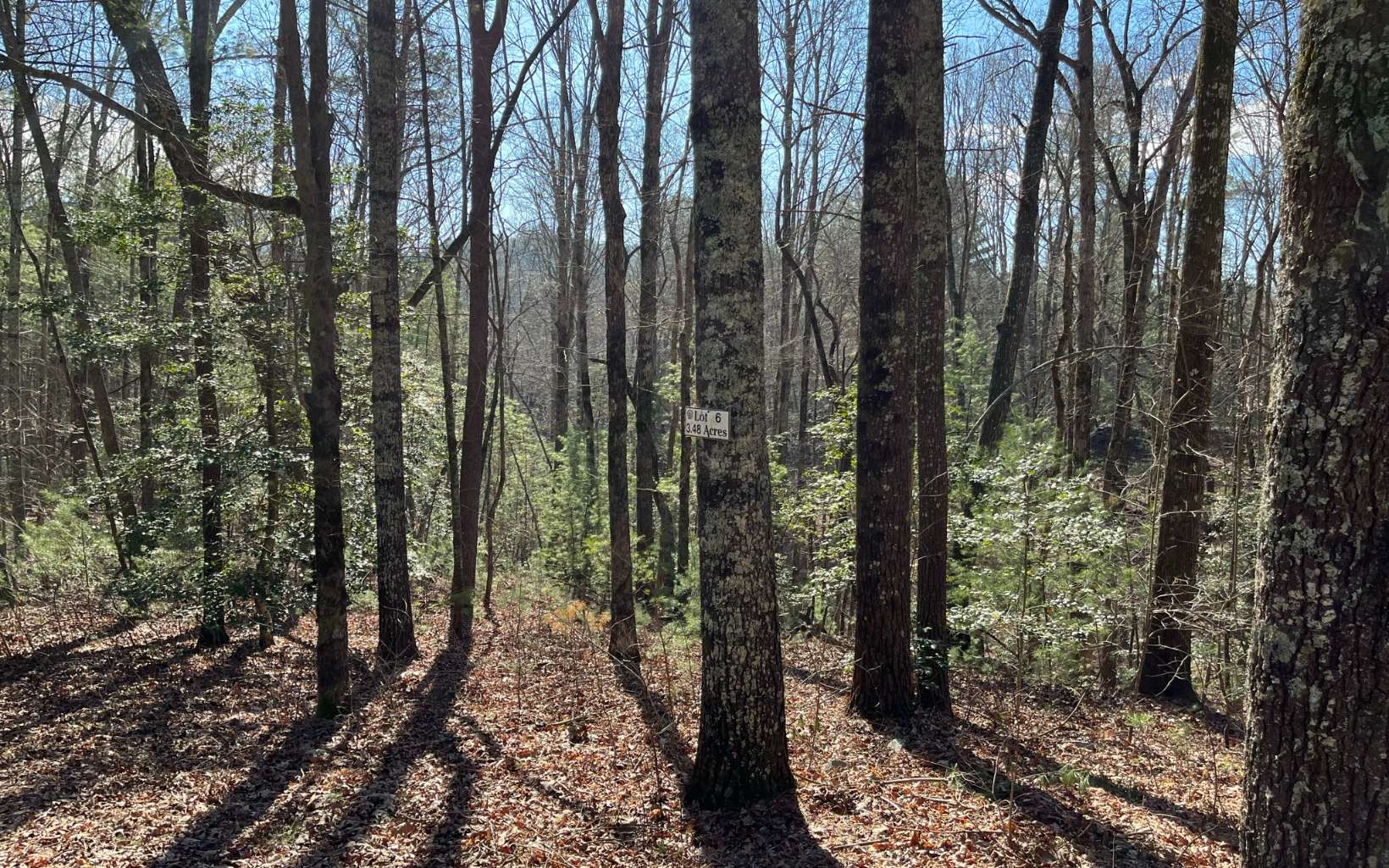 You will love driving home to your future mountain retreat and this 3.5 acre lot in the quaint, well-established community of Pickett Mill. A small spring fed stream borders the back of the property where deer and turkey traverse through an abundance of native trees & flowering vegetation. Common area access to gorgeous E. Mountain Creek, and the sound of the waterfalls can be heard from this property. Cohutta WMA, FS roads, Ft. Mtn State Park, Lake Conasauga all nearby, yet only 10 minutes to downtown Ellijay’s unique local shops and dining flair. Soil work has been completed w/underground power accessible at the property line.