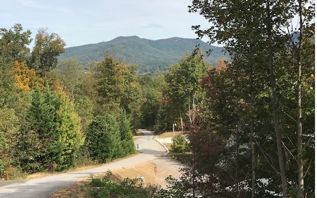 Beautiful year round mountain view lot in quiet, established community near Young Harris College. Fantastic lot ready for build with paved road access and underground public utilities already in place. Wonderful community of beautiful homes, abundant wildlife and gorgeous views of Young Harris Valley and surrounding mountains. Great location only minutes to downtown Blairsville, Hiawassee or Hayesville.