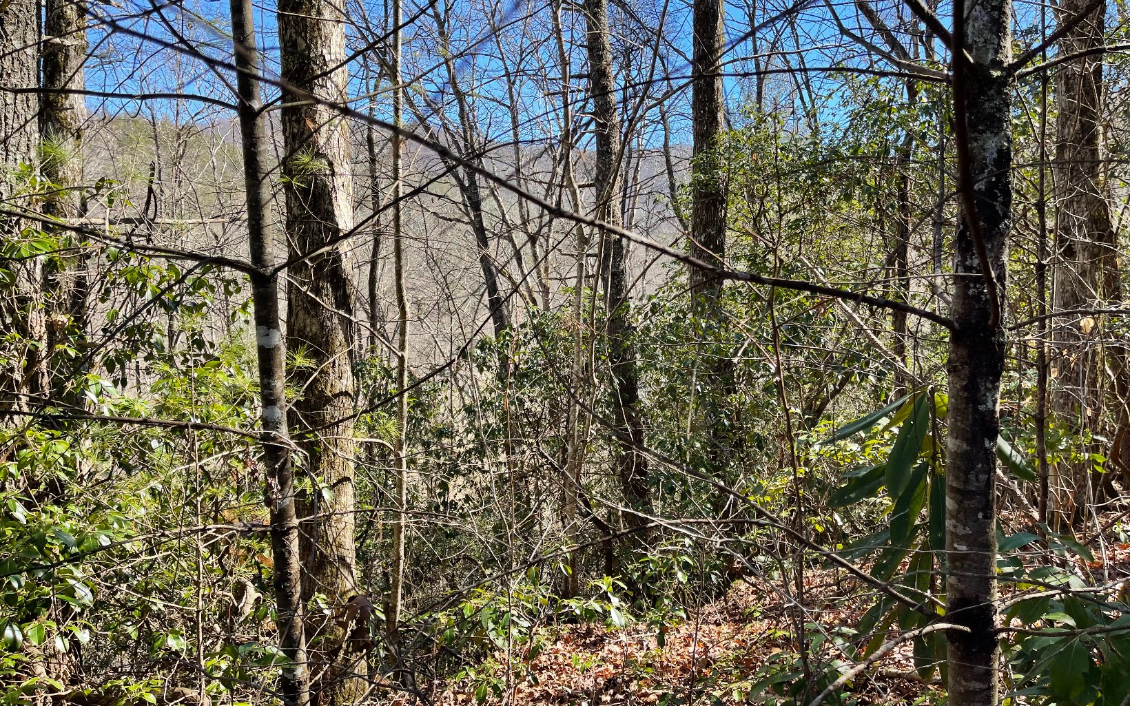 COME BUILD YOUR PRIVATE NORTH GEORGIA MOUNTAIN GETAWAY IN A GATED SUBDIVISION BETWEEN HIAWASSEE & HELEN GA!! Wooded Lot in the Mountains of North Georgia. The community offers gated entrance, ponds, Creekside fun and fishing, privacy. Short walk to Appalachian trails, in addition a short ride to Brasstown Bald.