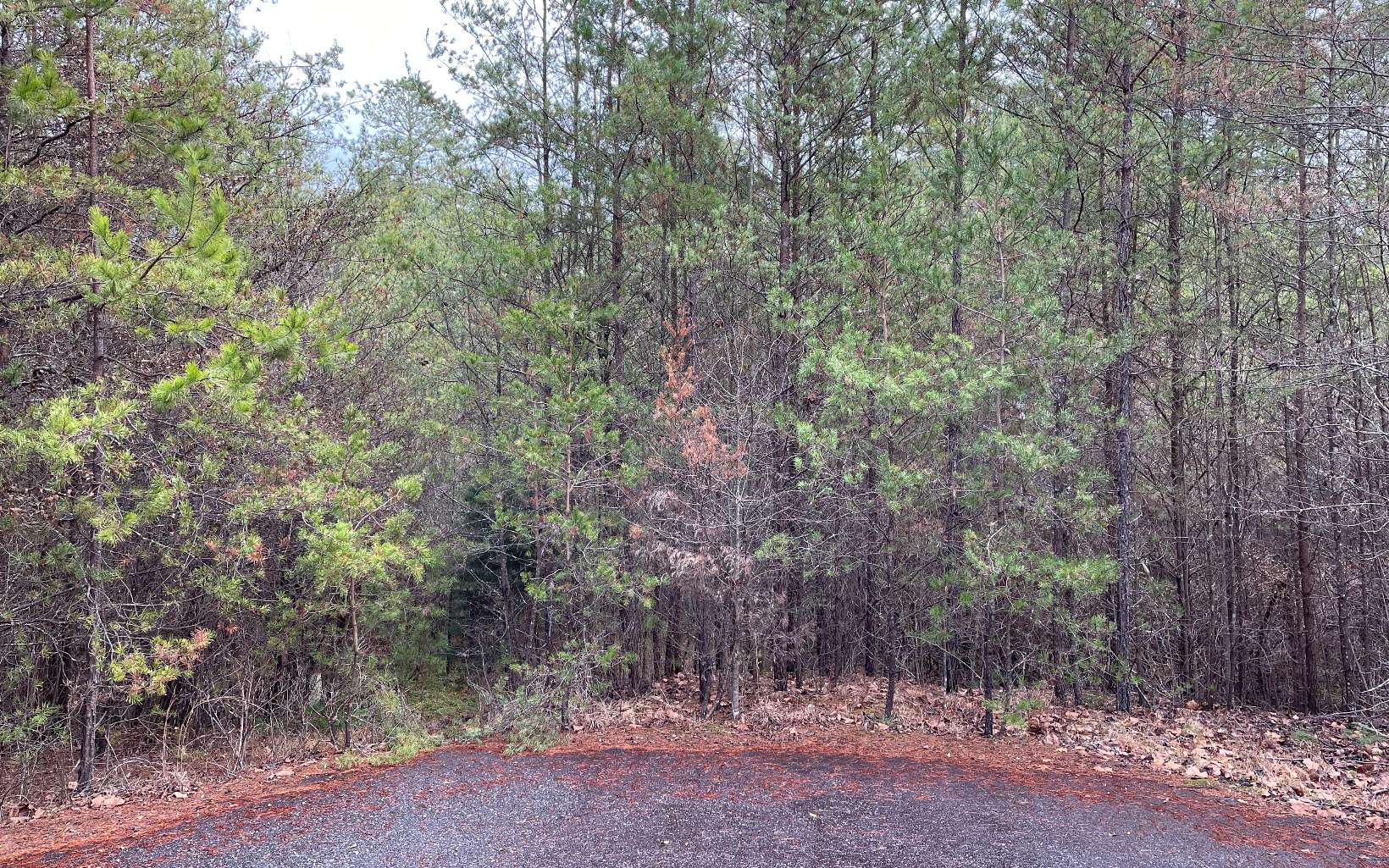Nice level lot in a beautiful neighborhood for your home or Cabin. Not far from town. Plenty of activities to enjoy here in Blairsville, hiking, boating, parks and recreation...come check it out.
