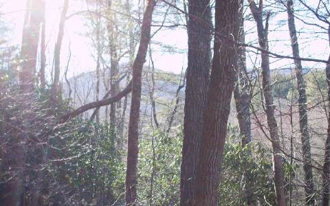 1.25 acre wooded lot in Hi River Country, Phase I. Gentle slope with lots of mtn. laurel and nice mature trees. Underground utilities. Community water system. Located off Hwy 75 south of Hiawassee, about 15 mi north of Helen, Ga. Just minutes from Brasstown Bald, Appalachian Trail and High Shoal Waterfalls.
