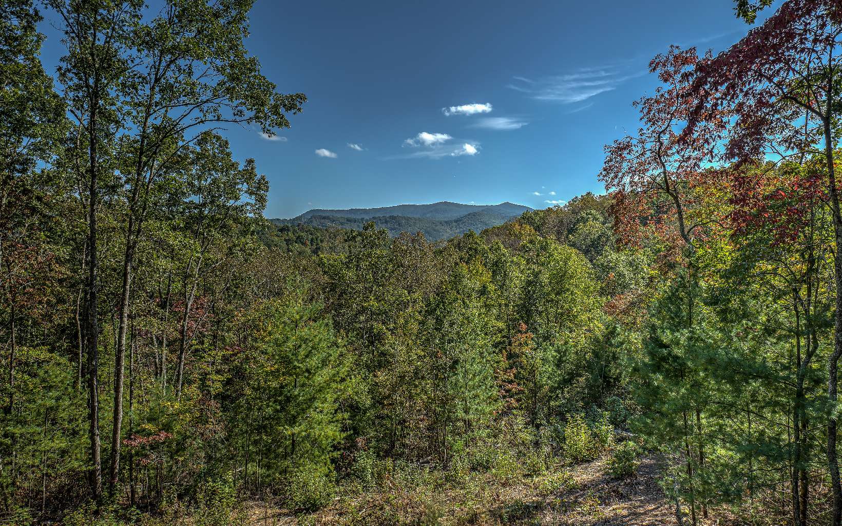 This lot features a private setting with modern conveniences. Only 5 miles to downtown Blue Ridge. Gravel drive way is already in place. Solid cell service. Paved access. Pad has been cleared. All that is needed is your dream home.