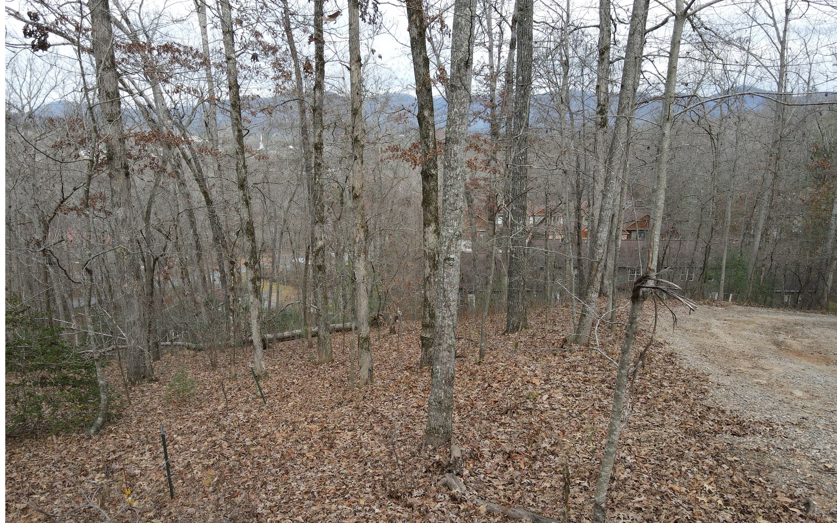 In Town Wooded Lot with Mountain Views that is Located ‘Just Outside City Limits' but the Lot Offers City Water, City Sewer, Internet & Electric Availability. Great Price on this 0.48 Acre Wooded Lot with Mountain Views. Just Minutes to Downtown Blairsville. New Survey. Perk test is NOT required since the Lot has Access to City Sewer. *Older Restrictions Recorded in place and the buyer’s attorney can Verify if they are still Active or if they have Expired. Fabulous Deal on this Easy Access Lot.Great In-Town Location! Only a Short Drive to Vogel State Park, Lake Nottely and Appalachian Trail.