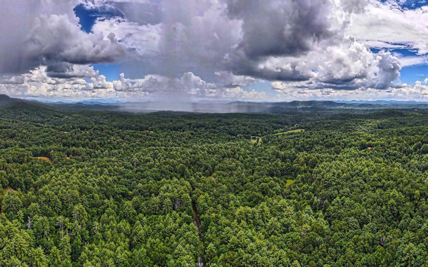 A growing community that could serve as a great investment property, rental property, or a great site to build your forever home here in the mountains! 6.9 acres located in a subdivision that offers wooded and private acres for seclusion. Picture this - potential long range, year round mountain views from your porch that is your ultimate relaxation spot. Location close to the NC border but also convenient to historic DT Blue Ridge for shopping and restaurants, hiking trails galore, mountain biking opportunities, Lake Blue Ridge fun, and other area attractions!