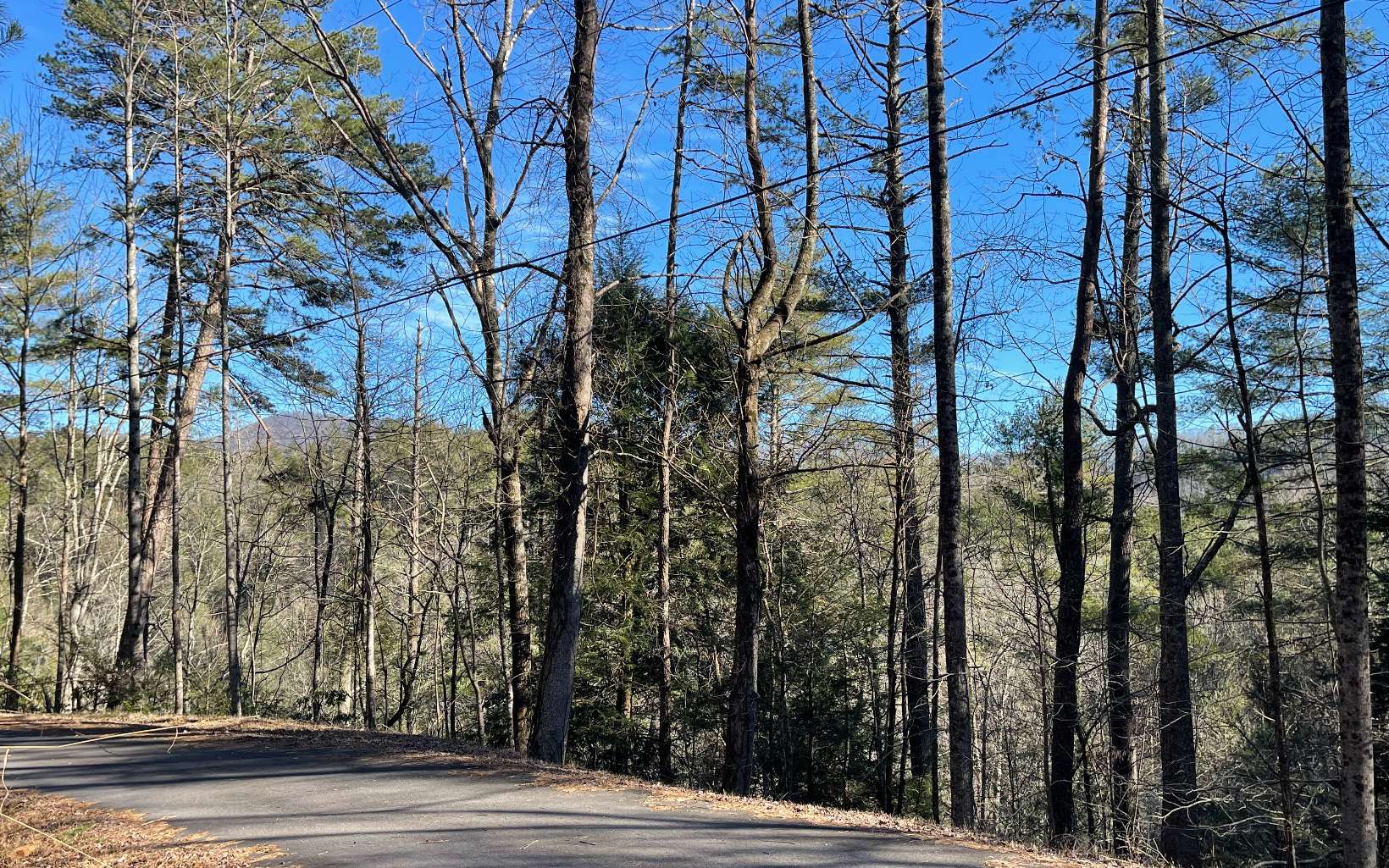 Mountain view! Three lots totaling 3.88 acres in North Georgia’s Whitepath golf course located 5 miles north of Ellijay, Georgia; just 1 1/2 hours north of Atlanta. The golf course itself is a reflection of the mountains which surround it. The 8 acre Whitepath Lake and the Ellijay River highlight several other creeks and ponds spread out along the course. Designed by Rocky Roquemore and Joe Lee, the course is challenging to the low handicap golfer, yet friendly to those with higher handicaps. Whitepath Golf Club is truly a golf enthusiast's dream. Beautiful rolling terrain and long range views of the surrounding Blue Ridge Mountains and the Cohutta Wilderness make this course one of the most enjoyable and picturesque golf courses in North Georgia. The course offers small, fast bent grass greens that are meticulously maintained for your golfing pleasure.