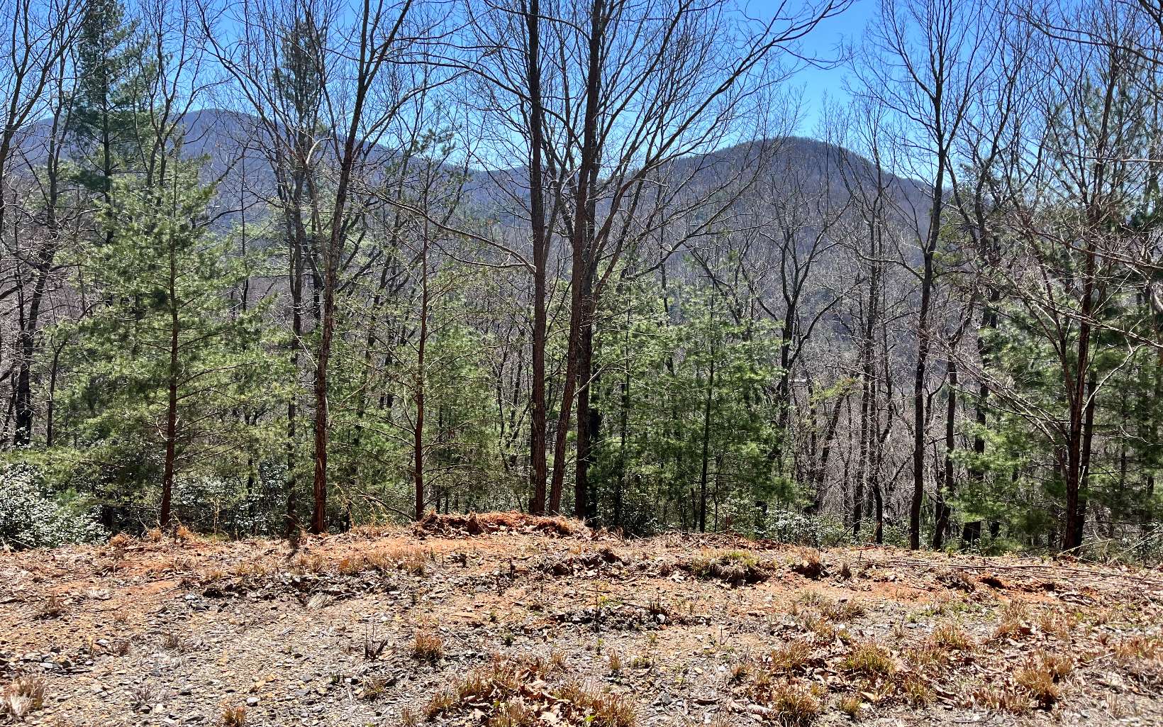 ***INVESTOR ALERT**** ACREAGE TO SUBDIVIDE OR HAVE YOUR OWN MOUNTAIN PARADISE IN THE NORTH GA MOUNTAIN. UNRESTRICTED, POWER ON PROPERTY. MOUNTIAN VIEWS. BORDERED BY USFS