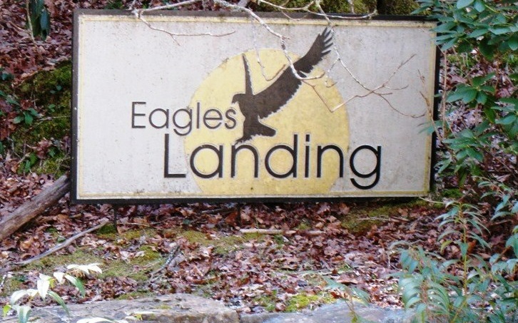 LT 41  EAGLES LANDING