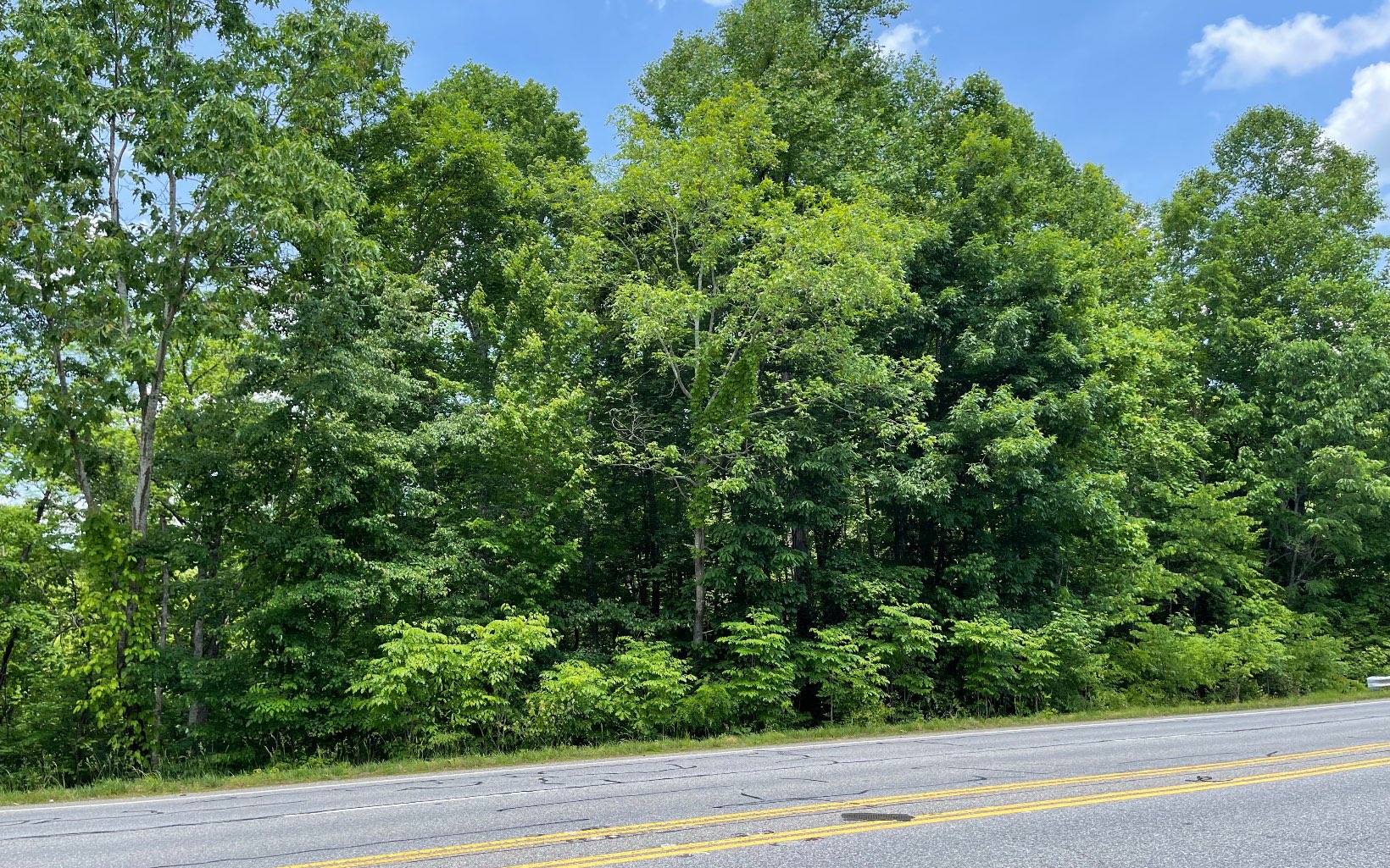 2.8+ ACRES, PRIVATE LAKEFRONT ESTATE OR COMMERCIAL TRACT ON HWY 76!! This beautifully wooded 2.85 acre tract offers frontage on pristine Lake Chatuge and frontage on the high traffic Hwy 76. Build your private lakefront estate on the backside of this wooded tract or build a commercial business on the front side of the tract on Hwy 76. THE BEST OF BOTH WORLDS!!