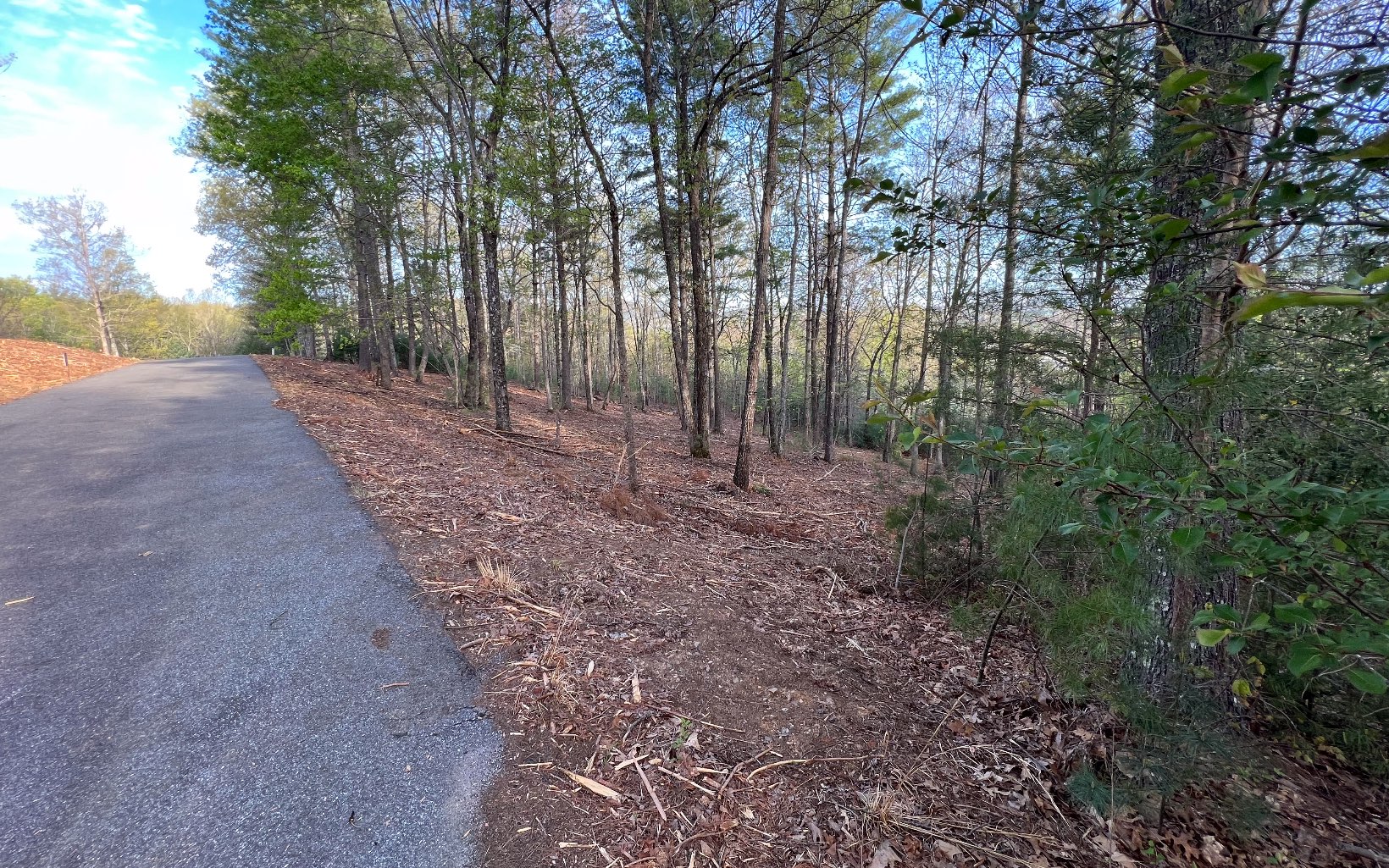 Conveniently located between Blairsville & Blue Ridge with easy access to Hwy 515. Genly to Rolling Buildable lot with mature hardwoods and long range mtn views.