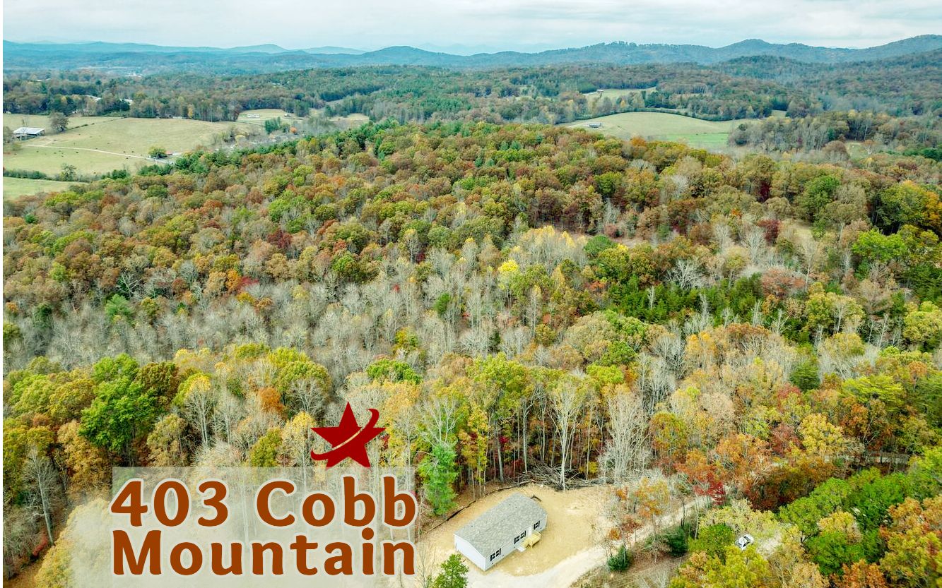 403  COBB MOUNTAIN