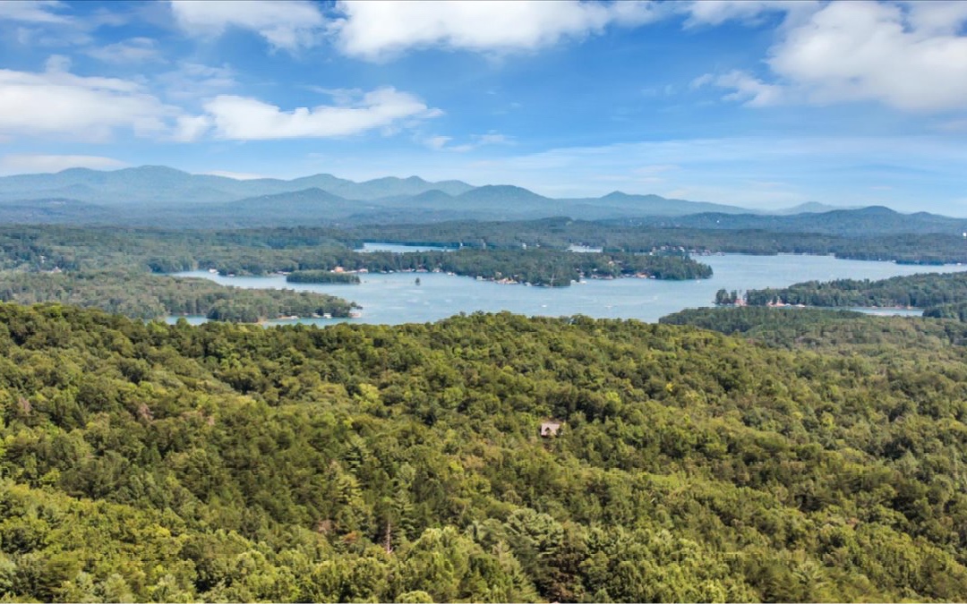 ** YEAR-ROUND ONE-OF-A-KIND LAKE VIEWS ** Welcome to Ridges Over the Lake! This land overlooks unobstructed views of lush forestry, long-range mountain and year-round Lake Blue Ridge scenery. Located and adjacent to hundreds of acres of USNF and within a gated community that follows a road w/ numerous public Lake Blue Ridge access points, this spot is perfect for the outdoor fanatic! Survey, utilities, and soil test on file!